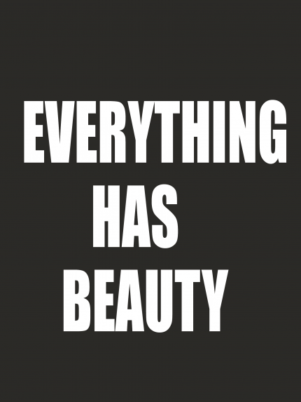 Everything has beauty