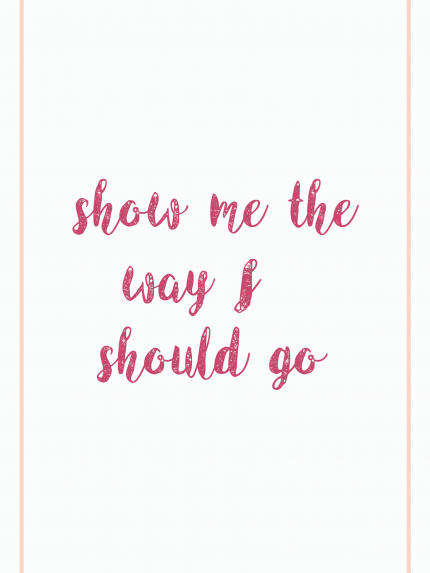 Show me the way i should go