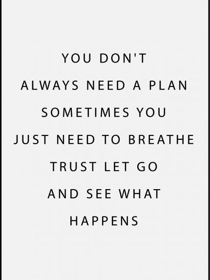 You don't always need a plan sometime you just need to breathe trust let go and see what happens