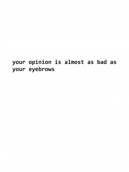 Your opinion is almost as bad as your eyebrows